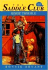 Horse Trouble (Saddle Club, 23) cover image