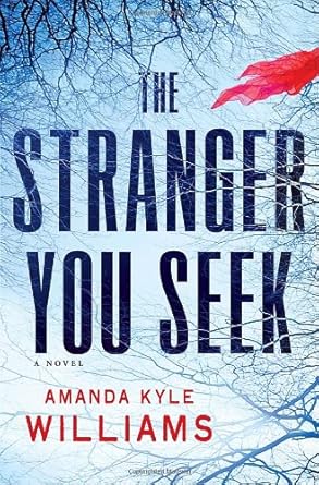 The Stranger You Seek: A Novel cover image