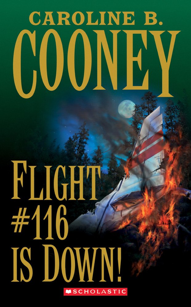 Flight #116 is down cover image