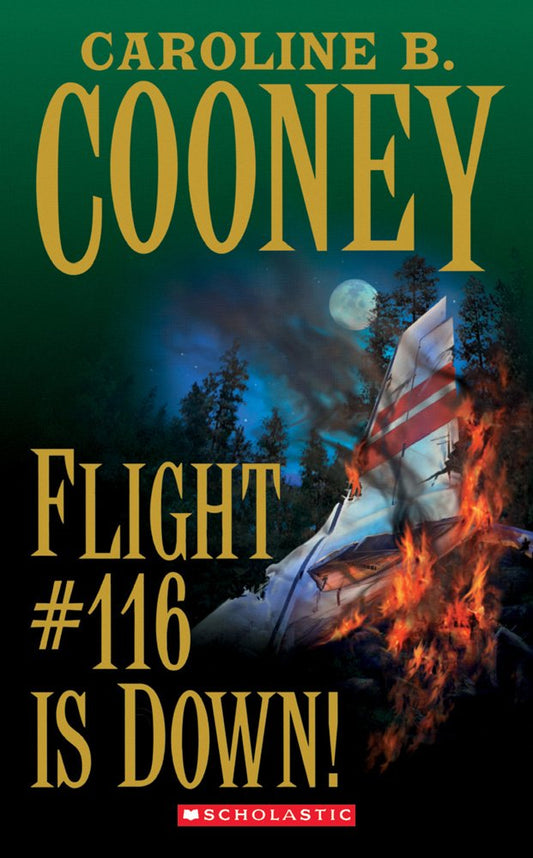 Flight #116 is down cover image