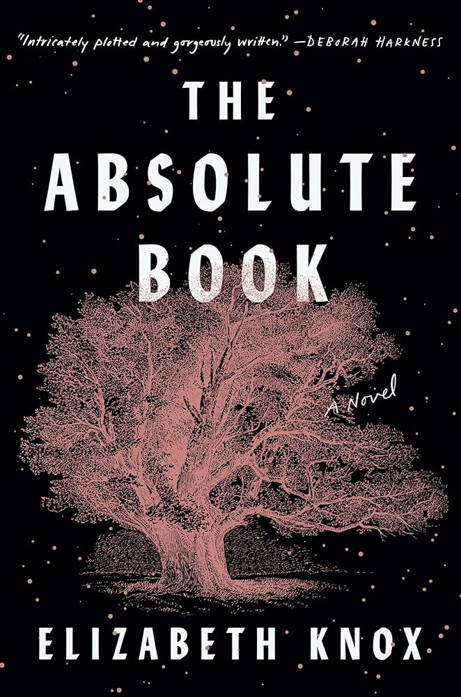 The Absolute Book: A Novel cover image