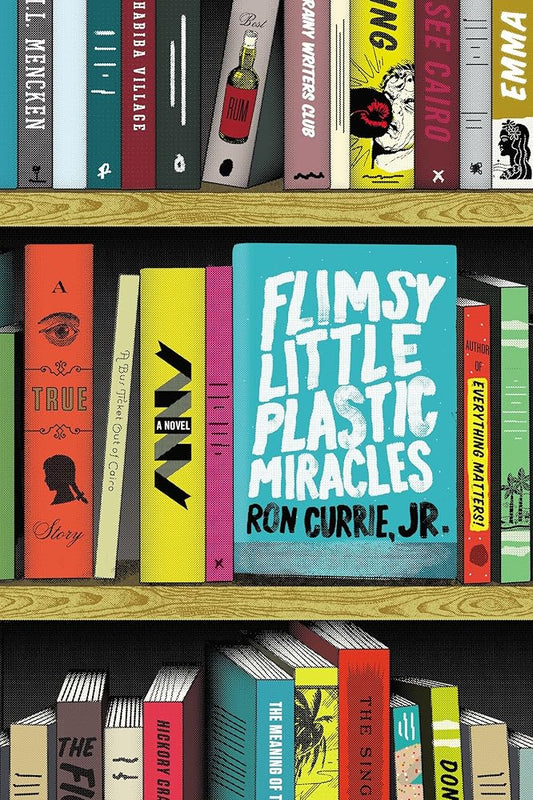 Flimsy Little Plastic Miracles: A Novel cover image