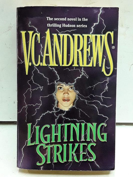 Lightning Strikes (Hudson Family) cover image