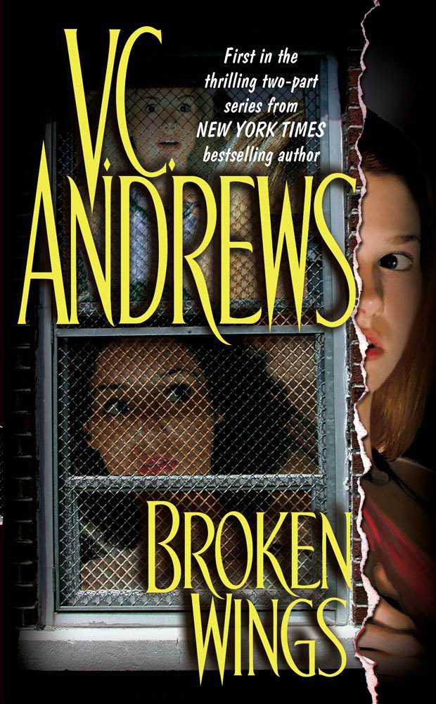 Broken Wings (1) cover image