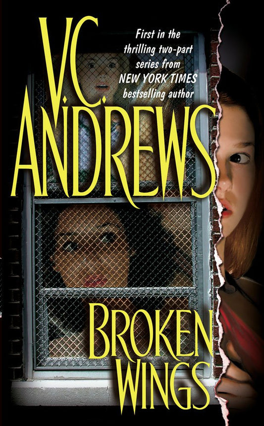 Broken Wings (1) cover image