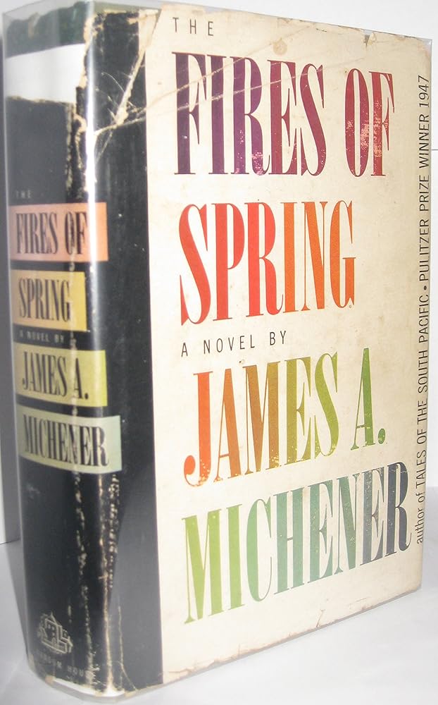 The Novel cover image