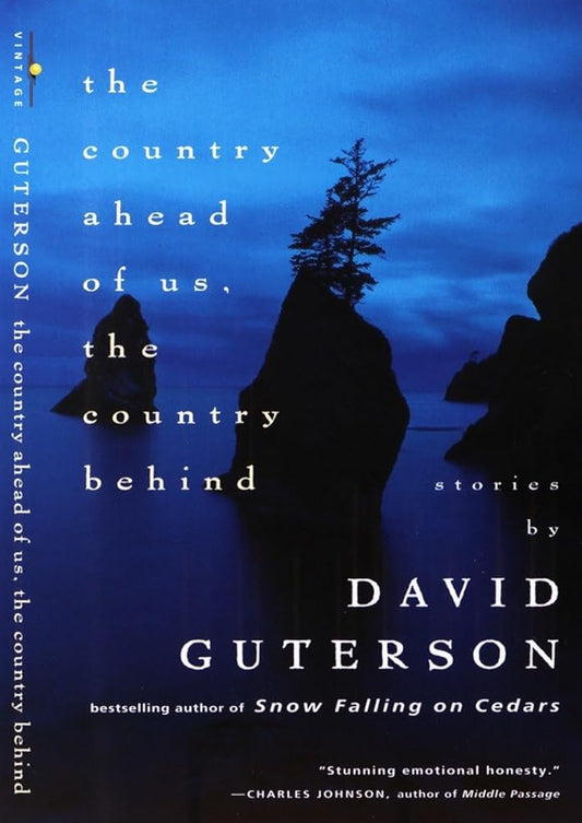 The Country Ahead of Us, The Country Behind cover image
