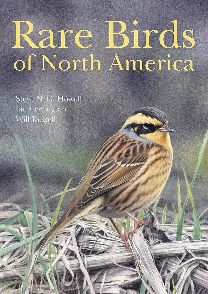 Rare Birds of North America cover image