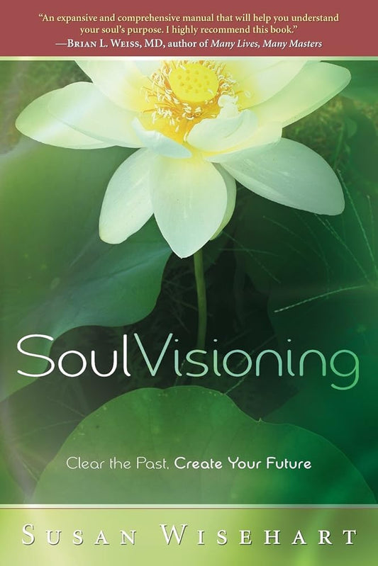 Soul Visioning: Clear the Past, Create Your Future cover image
