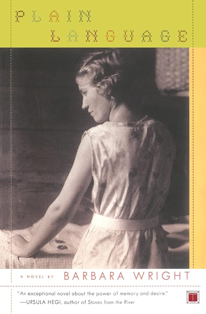 Plain Language: A Novel cover image