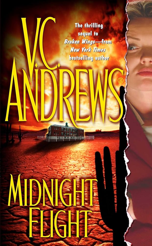 Midnight Flight (2) (Broken Wings) cover image