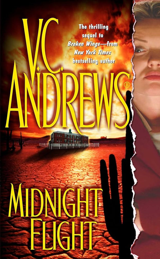 Midnight Flight (2) (Broken Wings) cover image