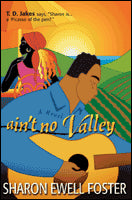 Ain’t No Valley: A Novel cover image