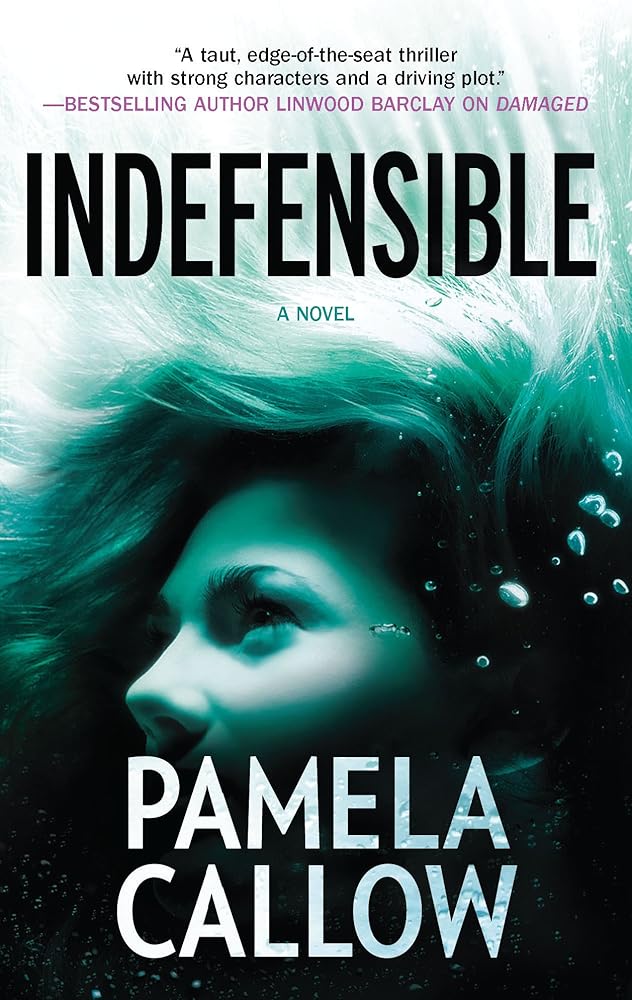 Indefensible (A Kate Lange Novel, 2) cover image