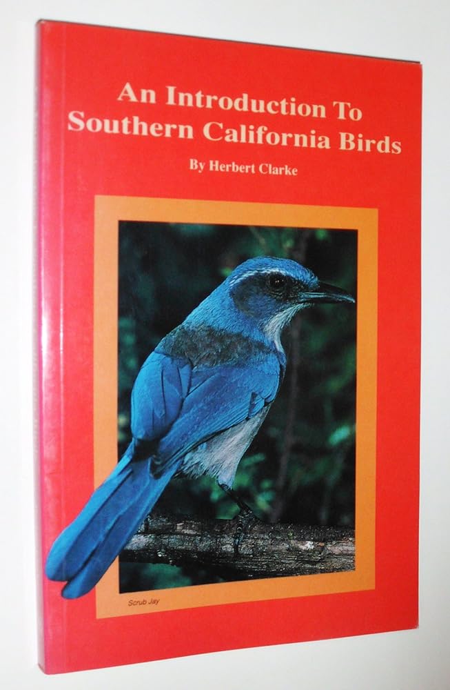 An Introduction to Southern California Birds cover image