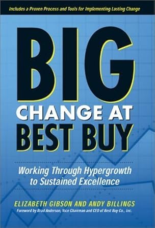 Big Change at Best Buy: Working Through Hypergrowth to Sustained Excellence cover image
