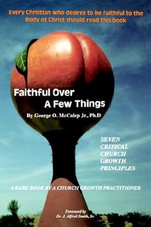 Faithful Over a Few Things cover image