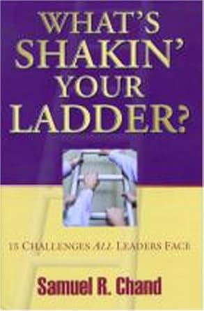 What's Shakin' Your Ladder? 15 Challenges All Leaders Face cover image