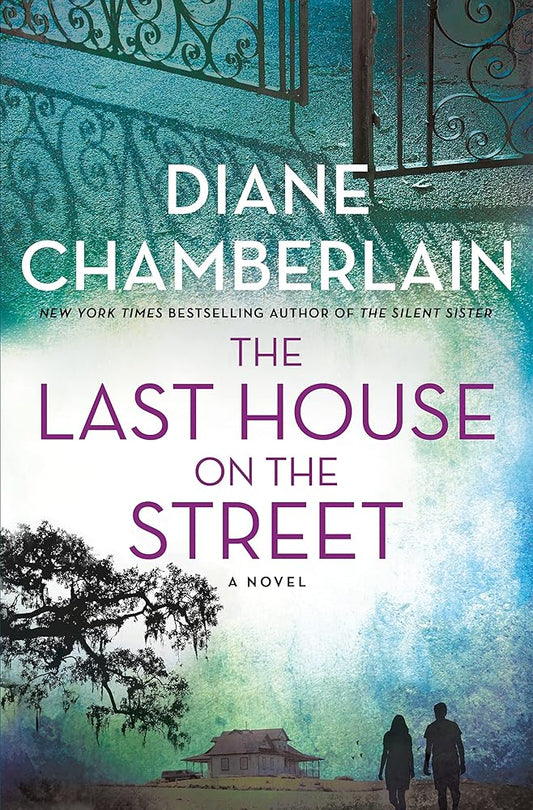 The Last House on the Street: A Novel cover image