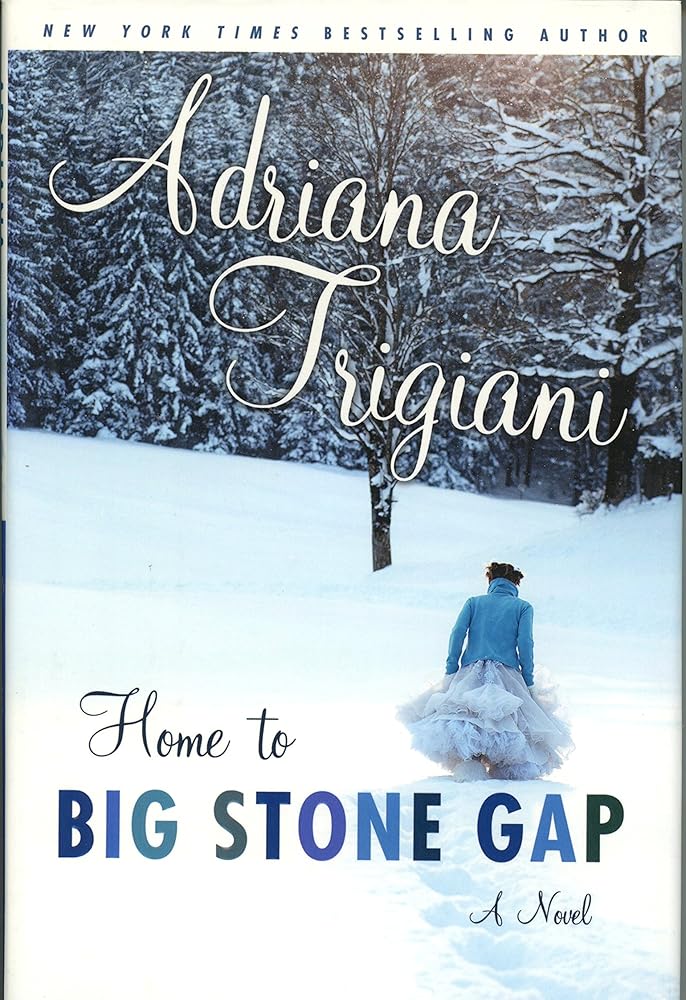Home to Big Stone Gap: A Novel cover image