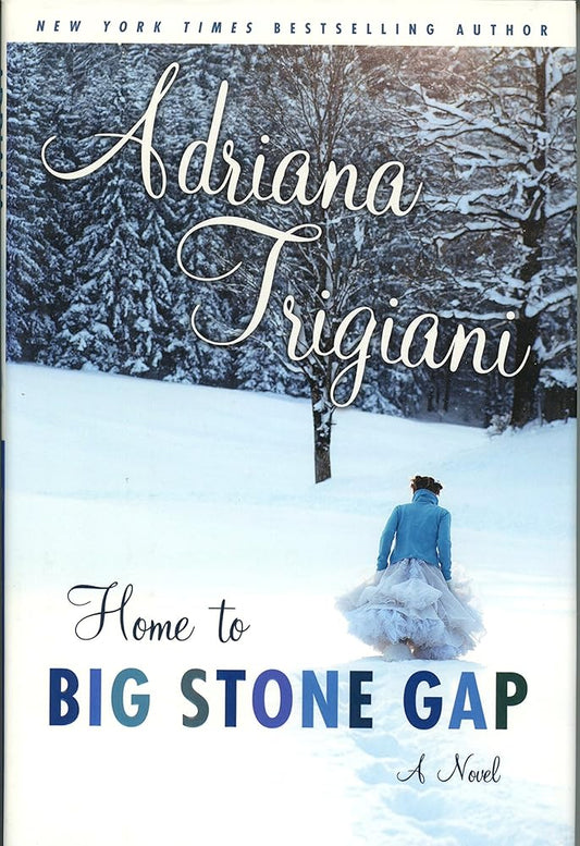 Home to Big Stone Gap: A Novel cover image