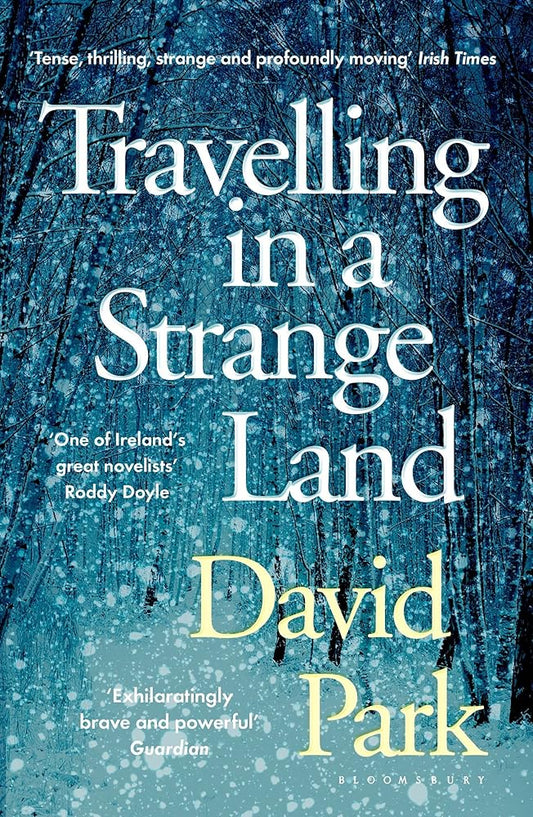 Travelling in a Strange Land cover image