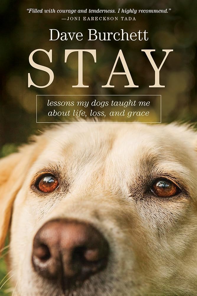 Stay: Lessons My Dogs Taught Me about Life, Loss, and Grace cover image