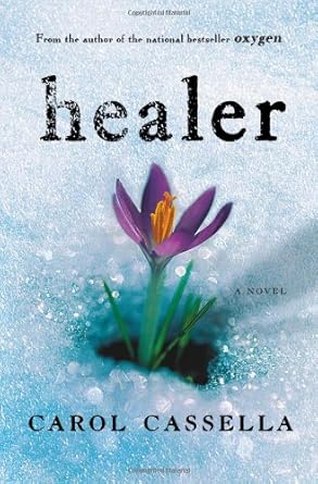 Healer: A Novel cover image
