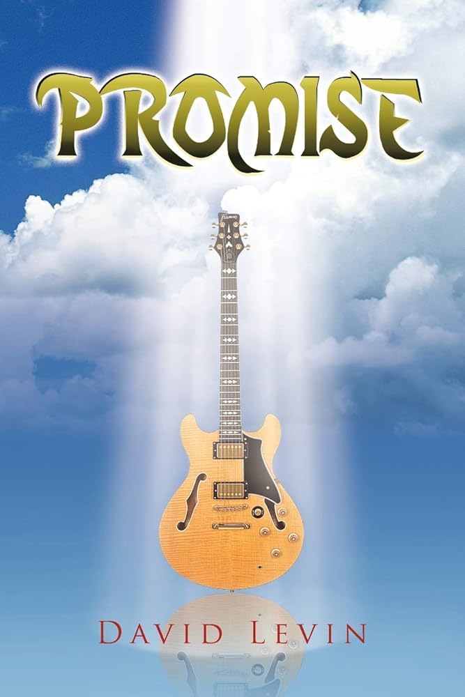 Promise cover image