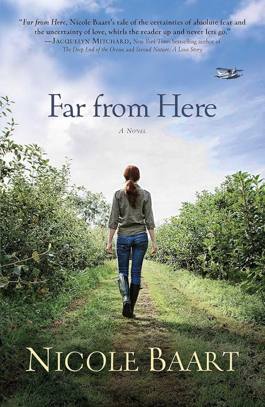 Far from Here: A Novel cover image