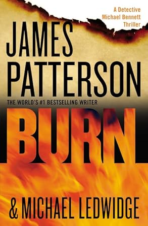Burn (A Michael Bennett Thriller, 7) cover image