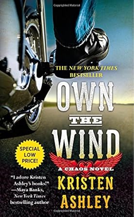 Own the Wind: A Chaos Novel cover image