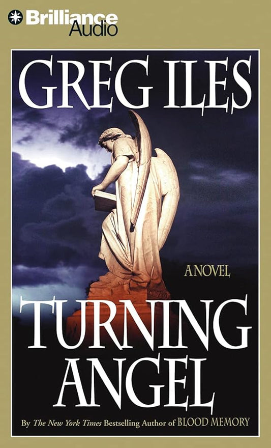 Turning Angel cover image