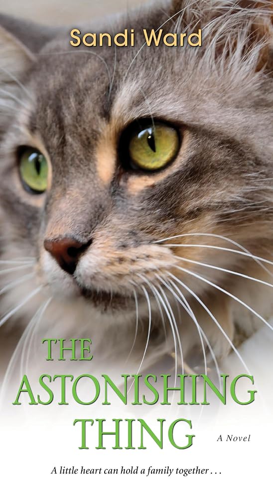 The Astonishing Thing cover image