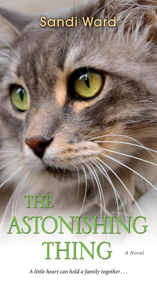 The Astonishing Thing cover image