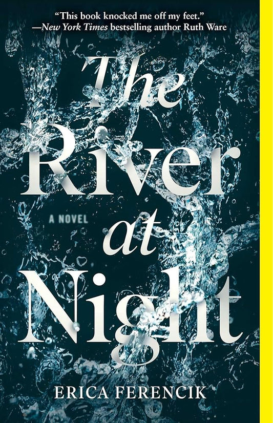 The River at Night: A Novel cover image