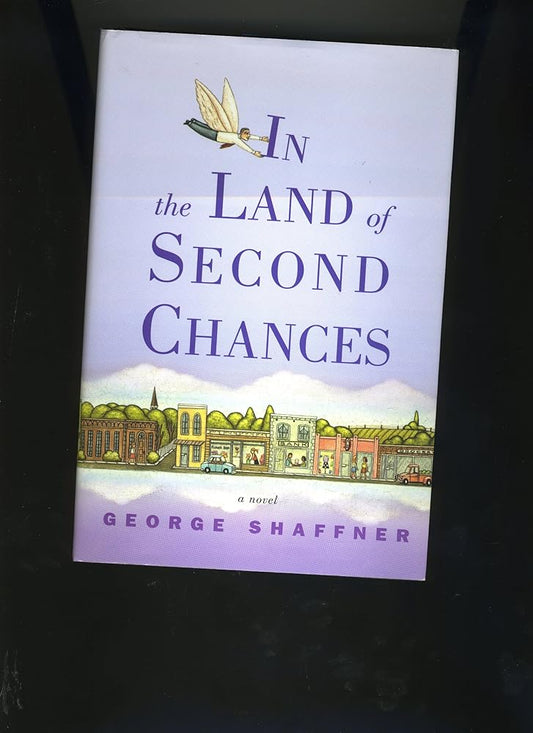 In the Land of Second Chances cover image