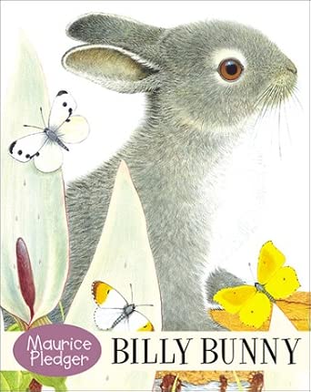 Billy Bunny Board Book cover image