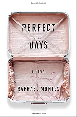 Perfect Days: A Novel cover image