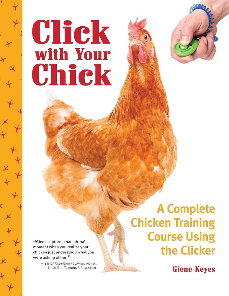 Click with Your Chick: A Complete Chicken Training Course Using the Clicker (CompanionHouse) Train Hens to Come When Called, Perch on Your Arm, and Do Tricks, with Positive Reinforcement [BOOK ONLY] cover image