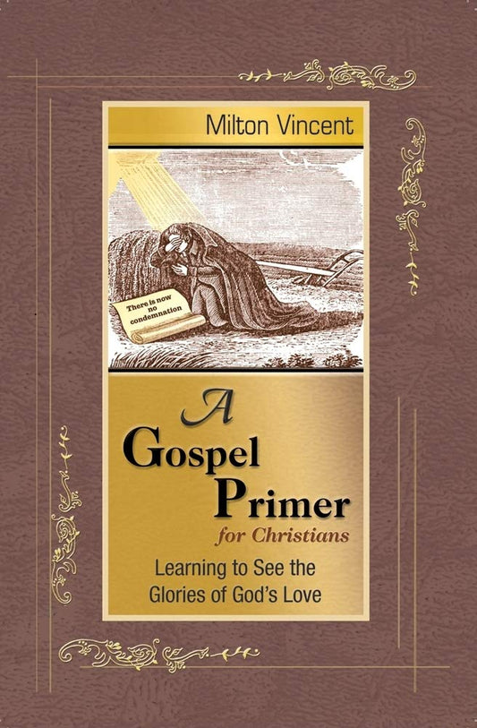 A Gospel Primer for Christians: Learning to See the Glories of God's Love cover image