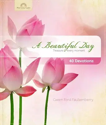 A Beautiful Day cover image