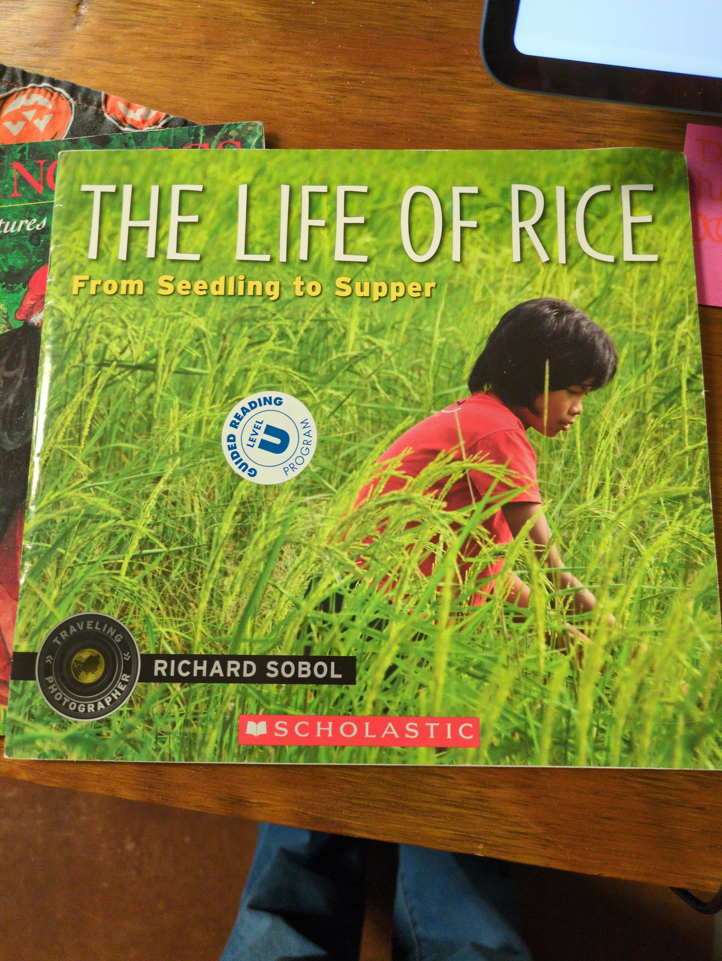 The Life of Rice