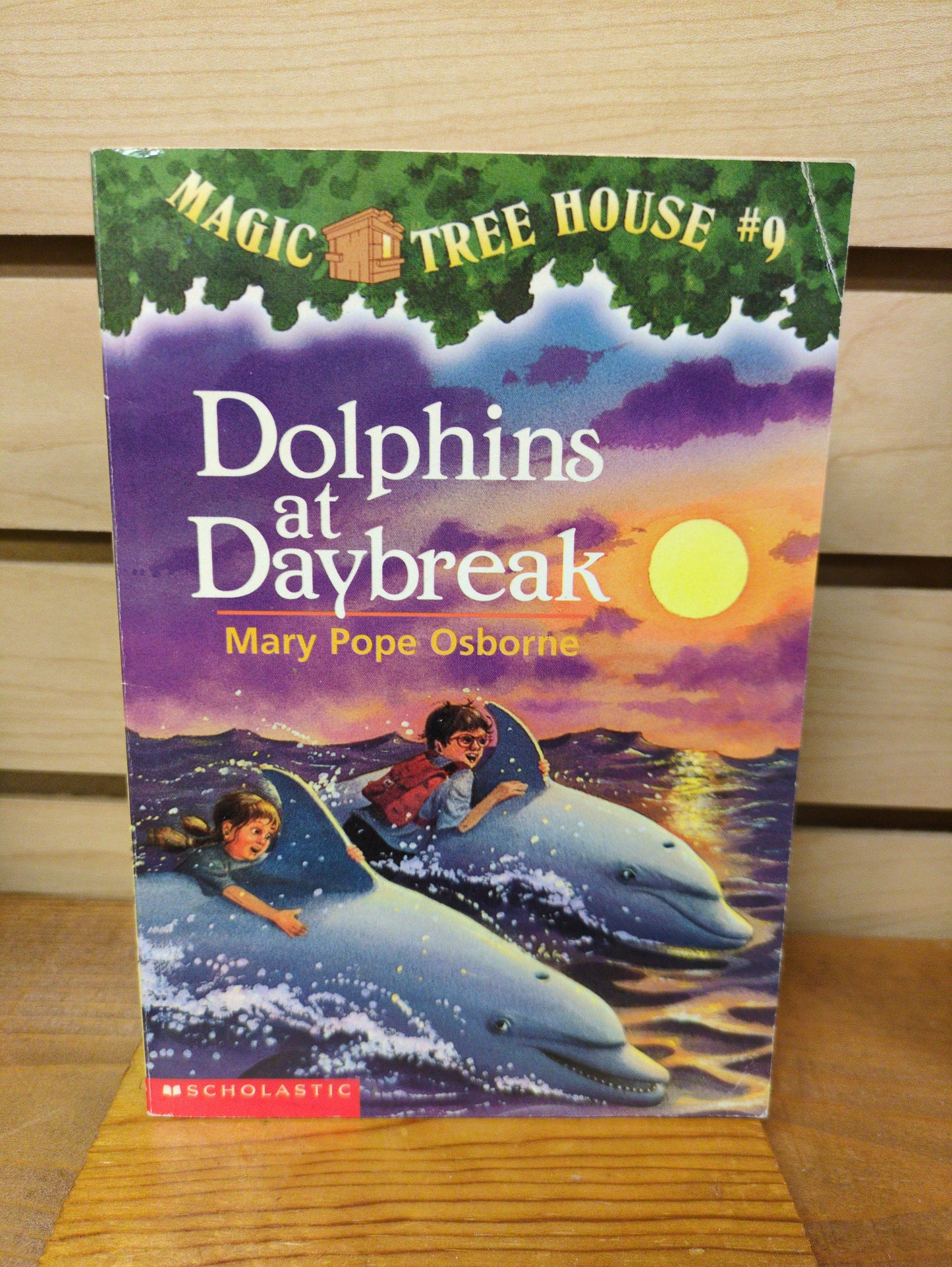 Dolphins at Daybreak (Magic Tree House, No. 9)
