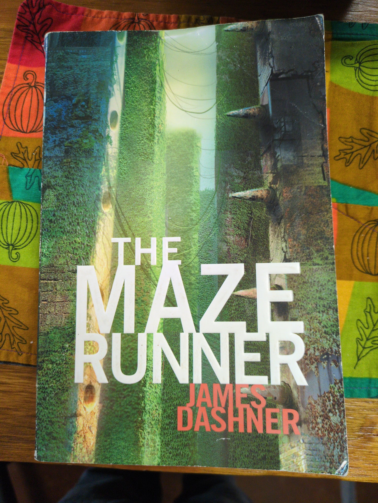 Tha Maze Runner