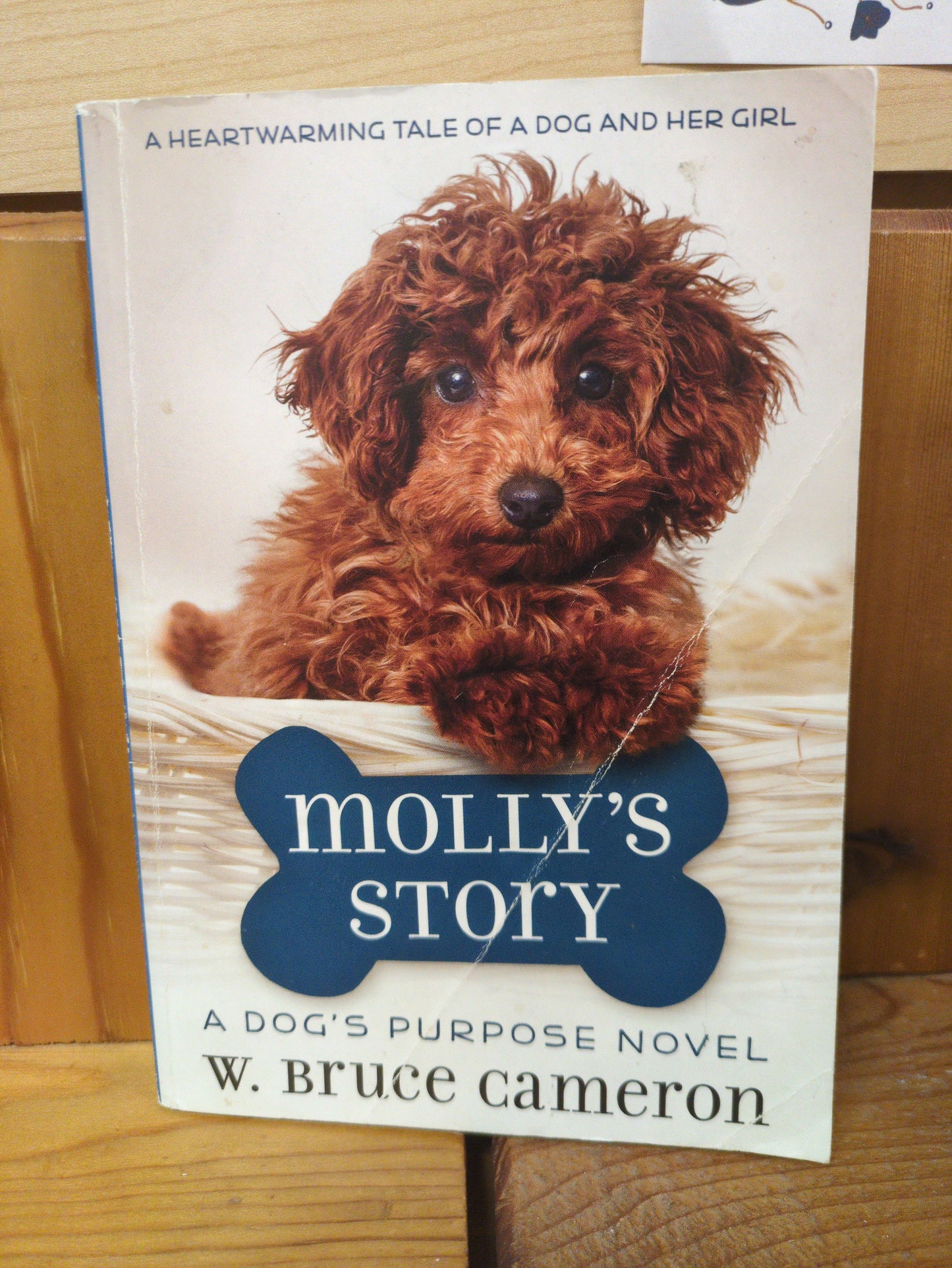 A Dog's Purpose: Molly's Story